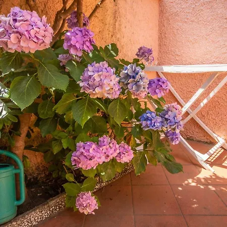 Appartement Le Saline *