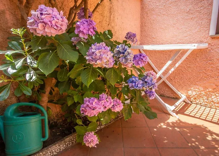 Appartement Le Saline *